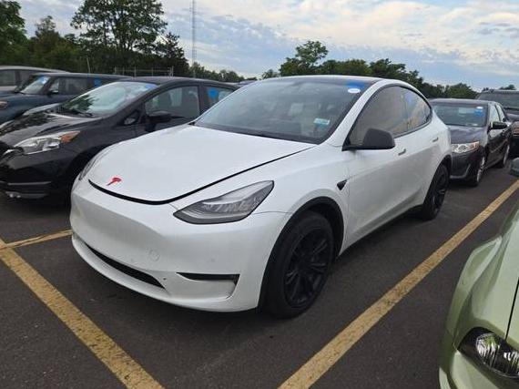 TESLA MODEL Y 2021 5YJYGDEE5MF198706 image